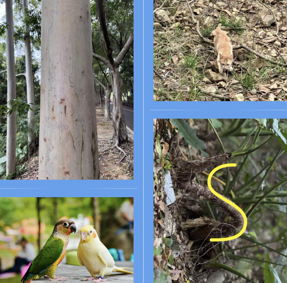 �ٲ�cbin(�й���)�ٷ���վ