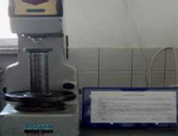 ���ݸ����͸ֳ���